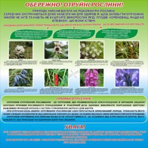 Наліпка «Обережно! Отруйні рослини!» (Артикул: 3-0338)  