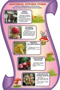 Наліпка «Обережно, отруйні гриби» (Артикул: 3-0596)  