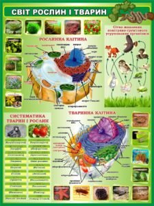 Стенд «Світ рослин і тварин» (Артикул: 3-2301)  