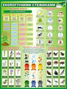 Стенд «Екологічними стежинами» (Артикул: 3-2304)  