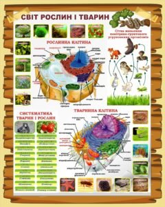 Стенд «Світ рослин і тварин» (Артикул: 3-2306)  