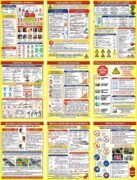 Інформаційний стенд «Основи життєдіяльності та безпеки» в асортименті (Артикул: 3-2354)  