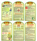 Комплект стендів для шкільних коридорів “Зелені” (АРТИКУЛ: 4-Булінг-0101)  